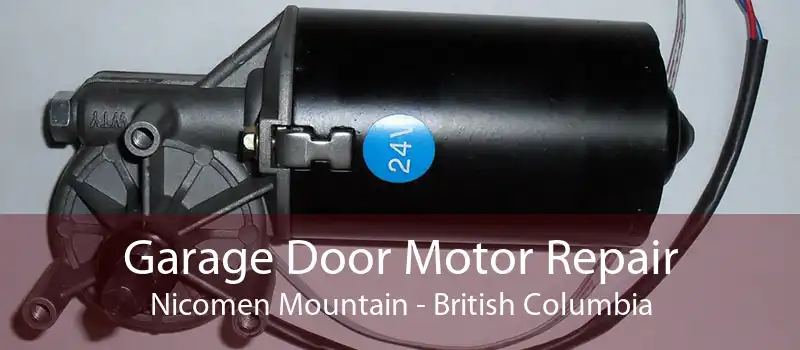 Garage Door Motor Repair Nicomen Mountain - British Columbia