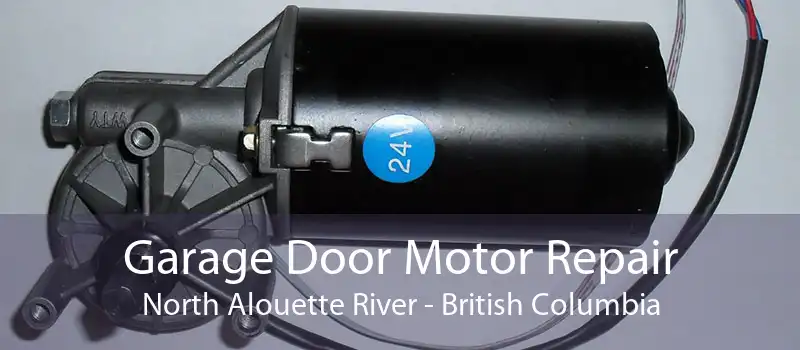 Garage Door Motor Repair North Alouette River - British Columbia