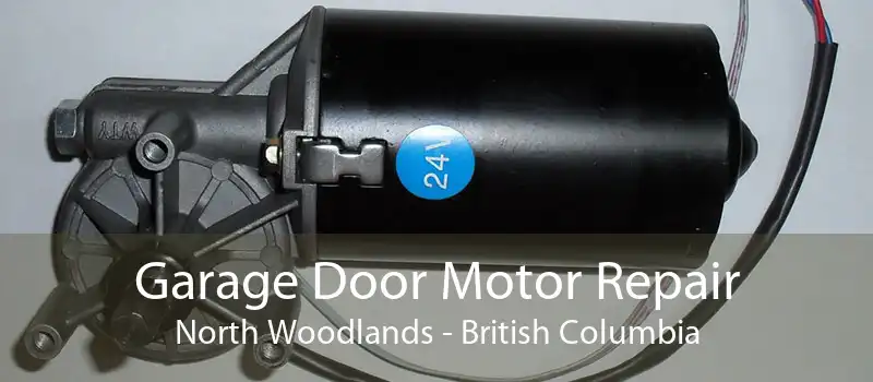 Garage Door Motor Repair North Woodlands - British Columbia
