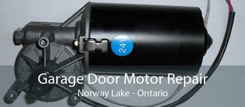 Garage Door Motor Repair Norway Lake - Ontario