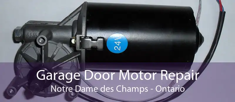 Garage Door Motor Repair Notre Dame des Champs - Ontario