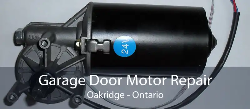 Garage Door Motor Repair Oakridge - Ontario