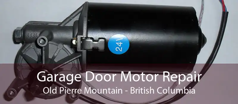Garage Door Motor Repair Old Pierre Mountain - British Columbia