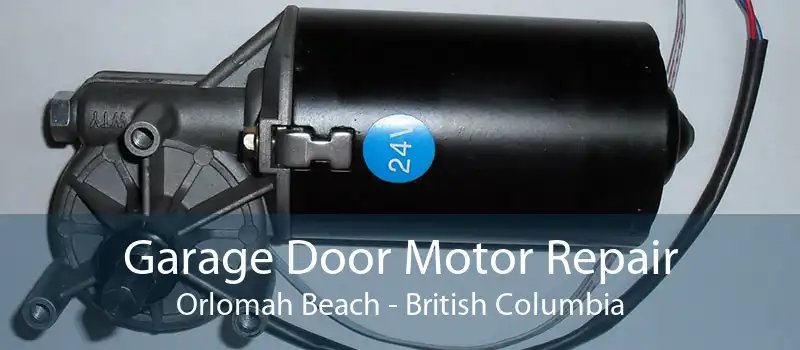 Garage Door Motor Repair Orlomah Beach - British Columbia