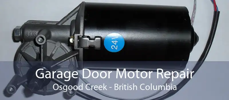 Garage Door Motor Repair Osgood Creek - British Columbia