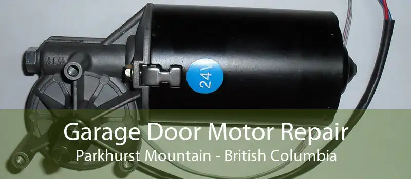 Garage Door Motor Repair Parkhurst Mountain - British Columbia