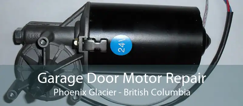 Garage Door Motor Repair Phoenix Glacier - British Columbia