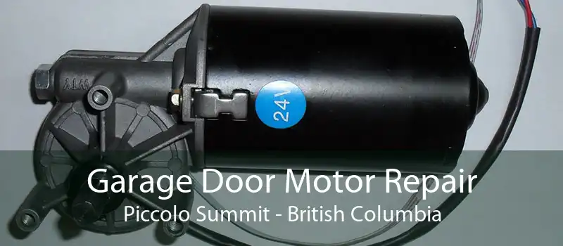 Garage Door Motor Repair Piccolo Summit - British Columbia
