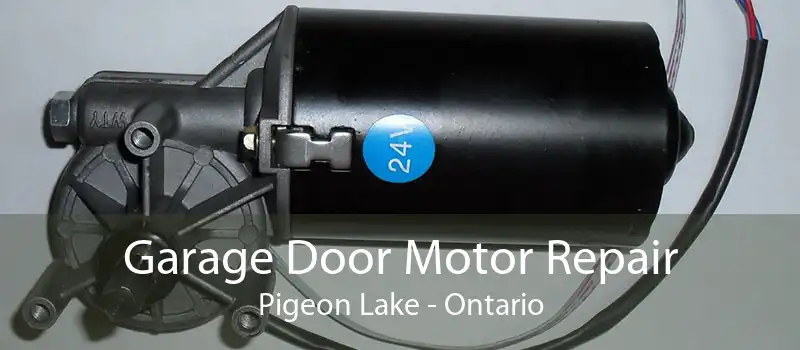 Garage Door Motor Repair Pigeon Lake - Ontario