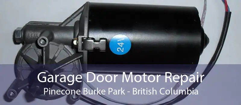 Garage Door Motor Repair Pinecone Burke Park - British Columbia