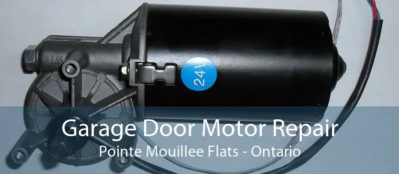 Garage Door Motor Repair Pointe Mouillee Flats - Ontario
