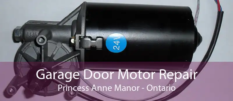 Garage Door Motor Repair Princess Anne Manor - Ontario