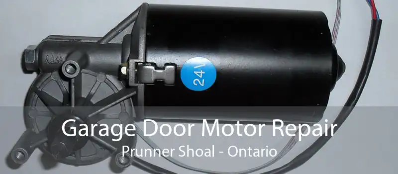 Garage Door Motor Repair Prunner Shoal - Ontario