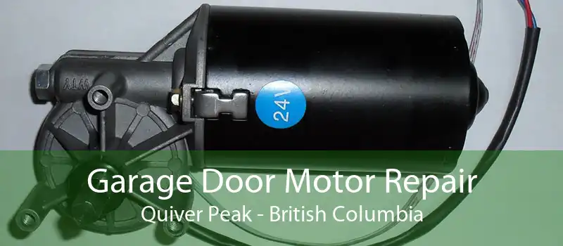 Garage Door Motor Repair Quiver Peak - British Columbia