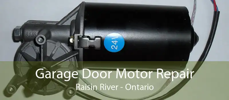Garage Door Motor Repair Raisin River - Ontario