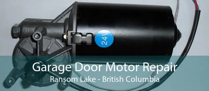 Garage Door Motor Repair Ransom Lake - British Columbia
