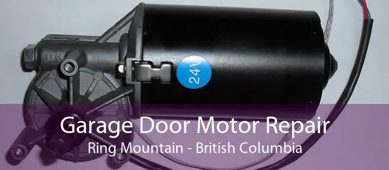 Garage Door Motor Repair Ring Mountain - British Columbia