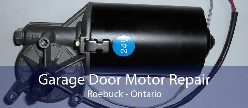 Garage Door Motor Repair Roebuck - Ontario