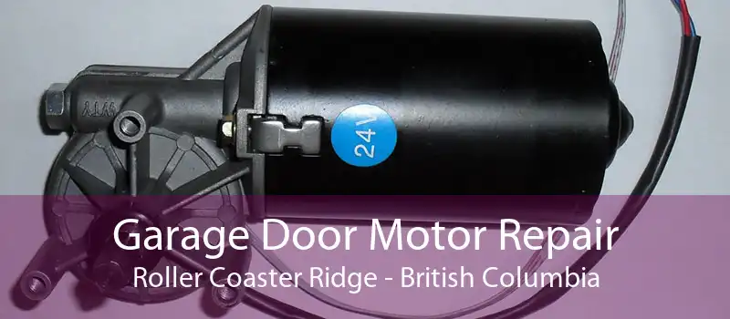 Garage Door Motor Repair Roller Coaster Ridge - British Columbia