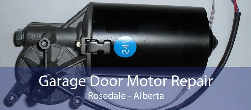 Garage Door Motor Repair Rosedale - Alberta