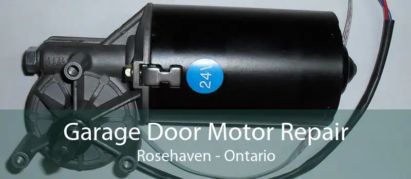 Garage Door Motor Repair Rosehaven - Ontario