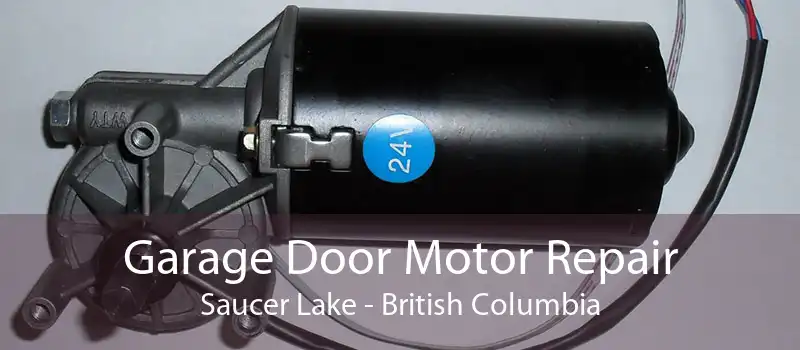 Garage Door Motor Repair Saucer Lake - British Columbia