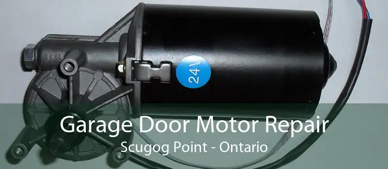Garage Door Motor Repair Scugog Point - Ontario