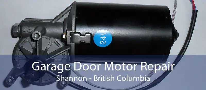 Garage Door Motor Repair Shannon - British Columbia