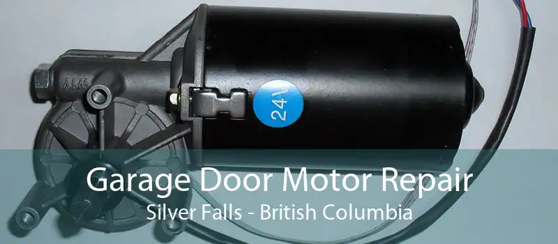 Garage Door Motor Repair Silver Falls - British Columbia