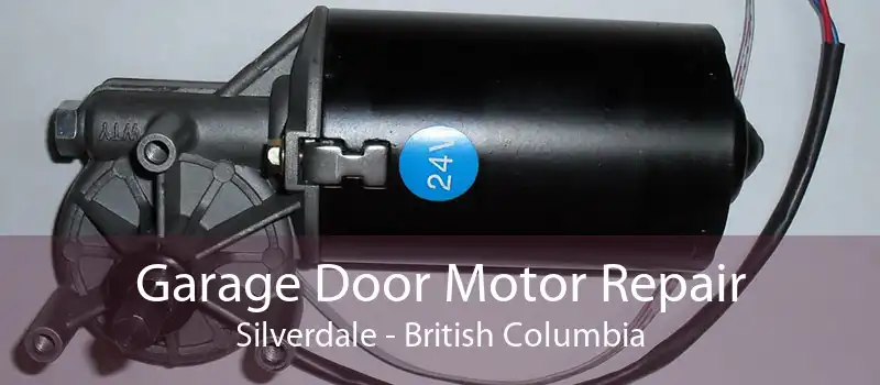 Garage Door Motor Repair Silverdale - British Columbia