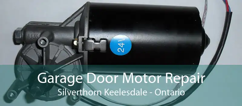Garage Door Motor Repair Silverthorn Keelesdale - Ontario