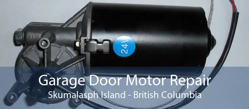 Garage Door Motor Repair Skumalasph Island - British Columbia