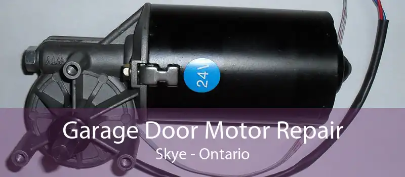 Garage Door Motor Repair Skye - Ontario