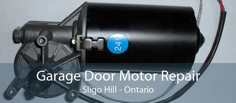 Garage Door Motor Repair Sligo Hill - Ontario