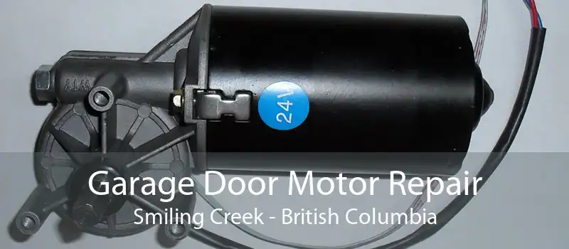 Garage Door Motor Repair Smiling Creek - British Columbia
