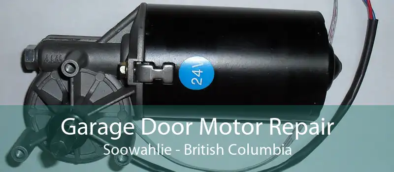 Garage Door Motor Repair Soowahlie - British Columbia