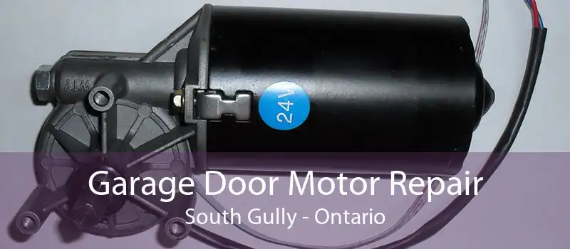 Garage Door Motor Repair South Gully - Ontario