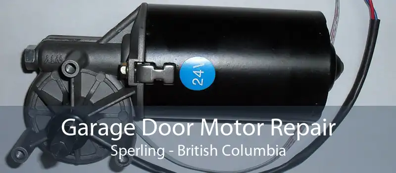 Garage Door Motor Repair Sperling - British Columbia