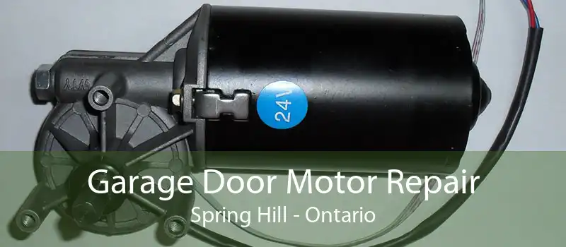 Garage Door Motor Repair Spring Hill - Ontario