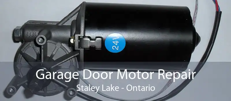 Garage Door Motor Repair Staley Lake - Ontario