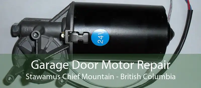 Garage Door Motor Repair Stawamus Chief Mountain - British Columbia