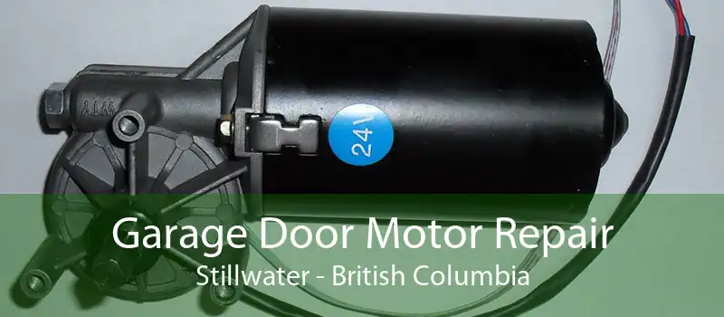 Garage Door Motor Repair Stillwater - British Columbia