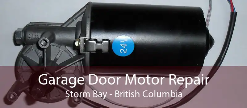 Garage Door Motor Repair Storm Bay - British Columbia