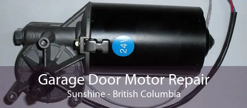 Garage Door Motor Repair Sunshine - British Columbia