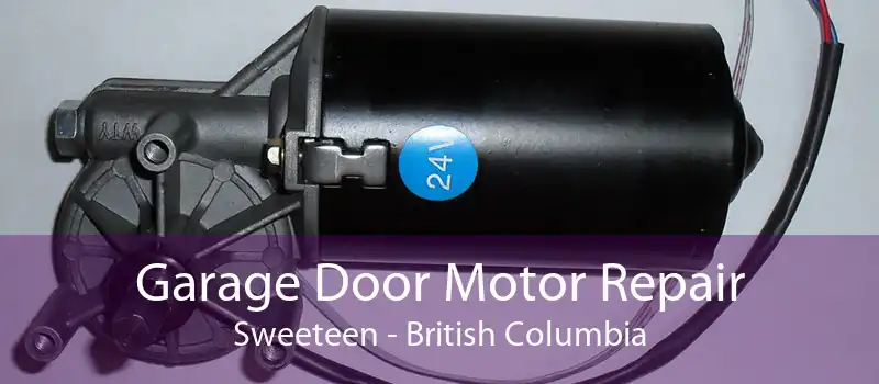 Garage Door Motor Repair Sweeteen - British Columbia