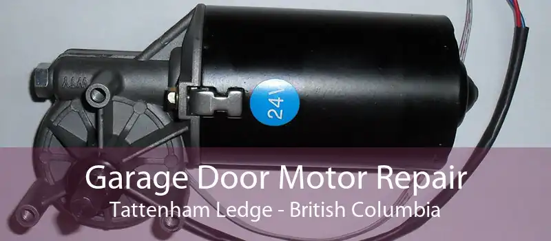 Garage Door Motor Repair Tattenham Ledge - British Columbia