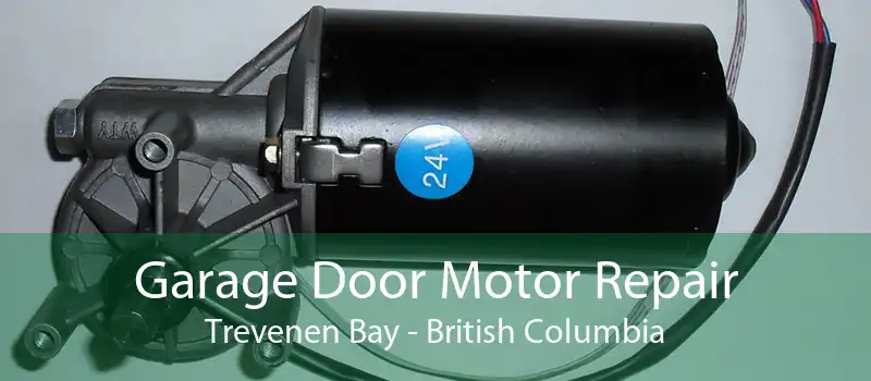 Garage Door Motor Repair Trevenen Bay - British Columbia