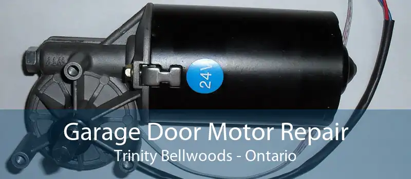 Garage Door Motor Repair Trinity Bellwoods - Ontario