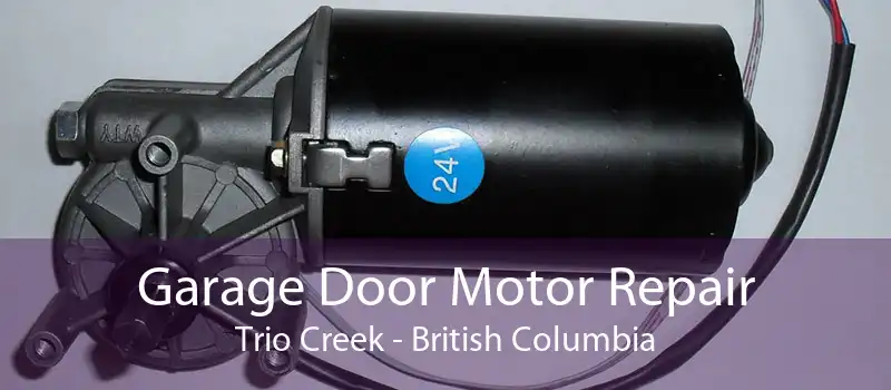 Garage Door Motor Repair Trio Creek - British Columbia