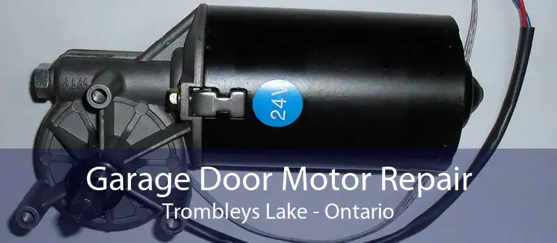 Garage Door Motor Repair Trombleys Lake - Ontario